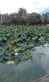 石芽嶺公園