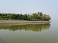 浮龍湖