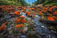 二郎山喇叭河旅遊景區紅石灘