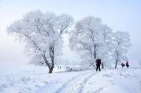 東北地區雪景