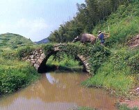 企石村[浙江紹興市新昌縣城南鄉下轄村]