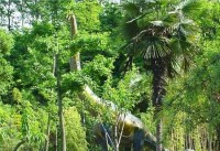 中國西峽恐龍遺跡園