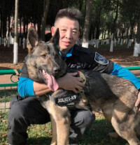 公安部昆明警犬基地--警犬留影