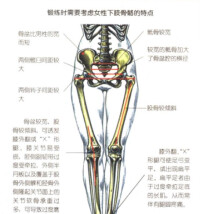 大象腿