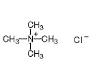 四甲基氯化銨