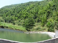 東陽村[江西省蘆溪縣蘆溪鎮轄村]