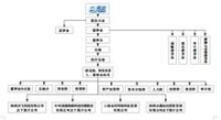 （一） 治理結構及組織架構