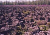 紅星火山岩地質公園