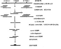 圖位基因克隆原理 原自參考文獻2