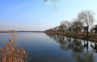 東台永豐林農業生態園2　高清大圖