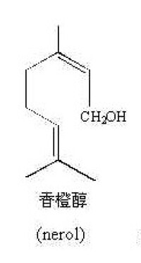 單萜類