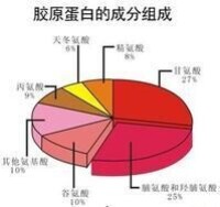 膠原蛋白的成分圖