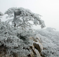 泰山四大奇觀