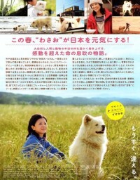 秋田犬蓬夫海報