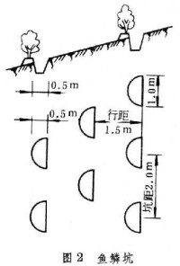 山坡水土保持工程