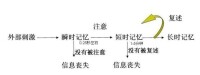 教學系統設計