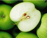 蘋果核含有少量氫氰酸