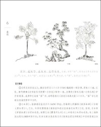 書中插圖