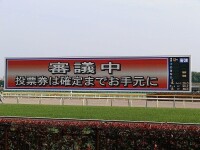 東京競馬場大銀幕(2007年5月拍攝)