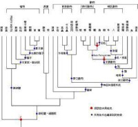 生物元素系統發生樹