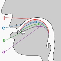 母音 [i, e, ɛ, a] 的舌點陣圖