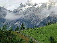 雪山氂牛坪