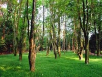 舜耕山國家森林公園