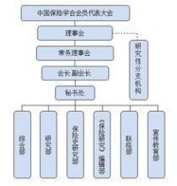 中國保險學會組織架構圖