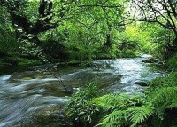 石門山國家森林公園