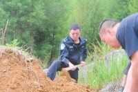 後街村[雲南省羅平縣板橋鎮下轄村]