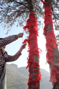 會仙山廟會香客樹上拴紅絲帶祈福