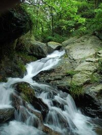 金頂山風景區