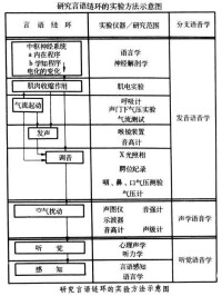 石燕貝目