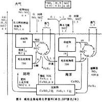 硫的地球生物化學循環