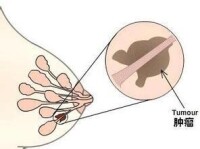 生物診療