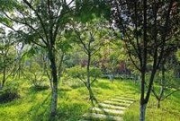 鹽城植物園高清組圖3