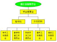 分支機構組成