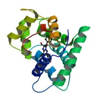 http://www.rcsb.org/pdb/explore/explore.do?structureId=1EJ3