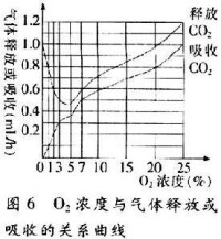 植物呼吸