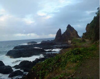 瓦利斯和富圖納群島