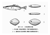 三刺魚