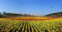 湖南省森林植物園