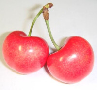 Cherry櫻桃