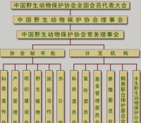 中國野生動物保護協會組織機構圖