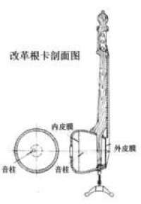 改制的根卡剖面圖