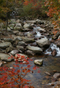 天橋溝國家森林公園