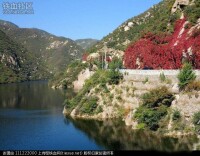 佛峪口村[北京市延慶縣張山營鎮下轄村]