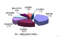 國際合資企業