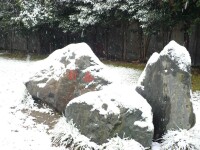 學院雪景2