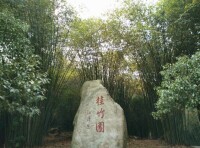 潛山國家森林公園